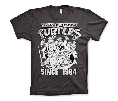 Koszulka męska Żółwie Ninja Turtles Distressed Since 1984