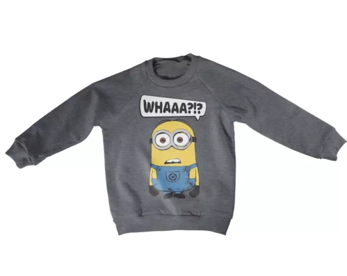 Bluza dziecięca Minionki - Whaaa?!? Grafitowa